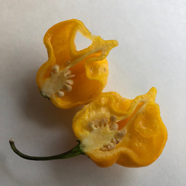 Yellow Reaper Cross - Seeds - The Pepper Pantry (Formerly Marie Sharp's)